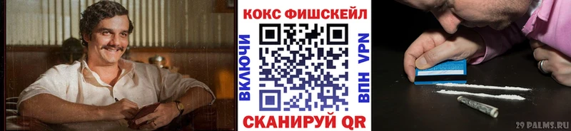 Купить  Жуковка  Кокаин Fish Scale 