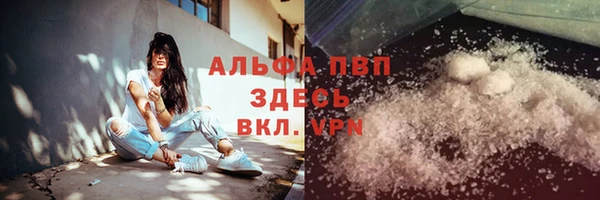 трава Инта