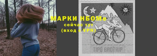ешки Инсар