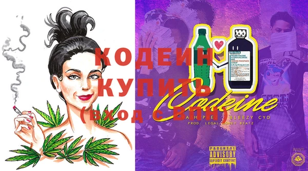 ешки Инсар