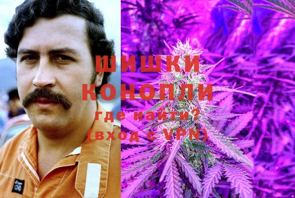 трава Инта