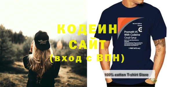 трава Инта
