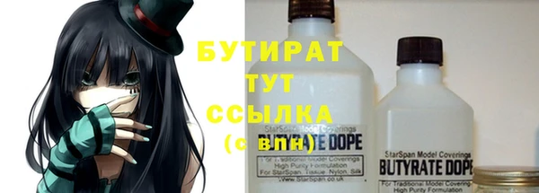 трава Инта
