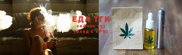 трава Инта