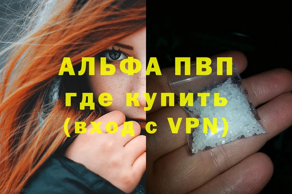 трава Инта