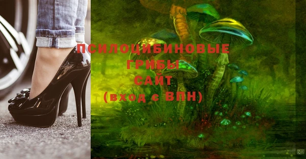 ешки Инсар