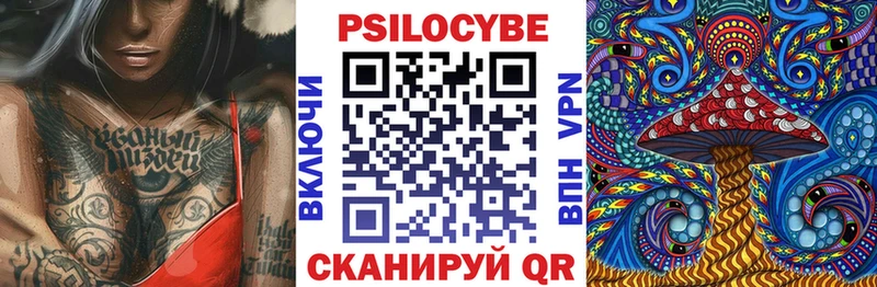 Купить закладки  Жуковка  Галлюциногенные грибы GOLDEN TEACHER 